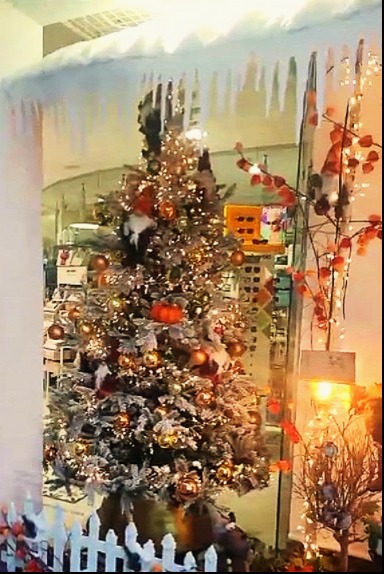 CONCURSO DE ESCAPARATES NAVIDEÑOS 2024 | Briviesca