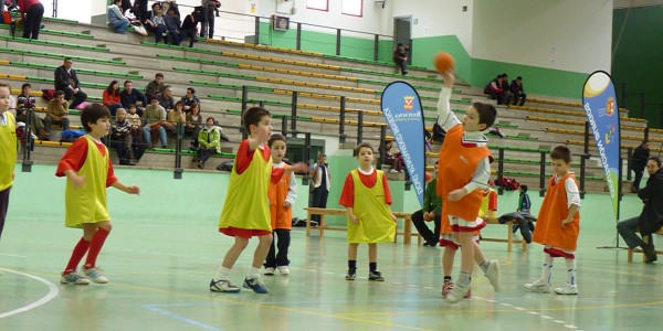 Imagen Escuelas deportivas